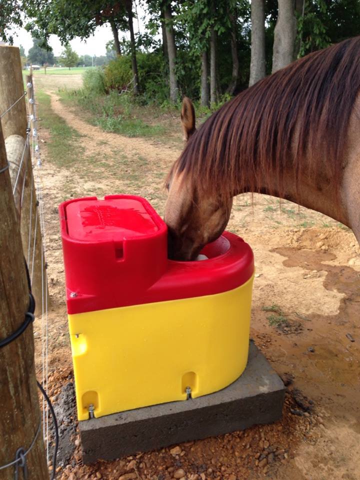 Thrifty King CT1-2000 16271 - Image 3